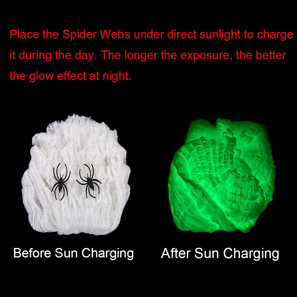 HexWeb™ — Glow-In-The-Dark Spider Web