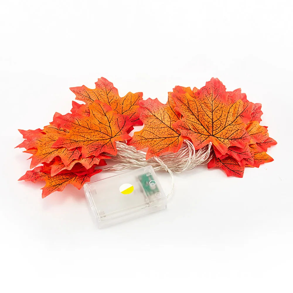 HexLeaf™ 🔥
