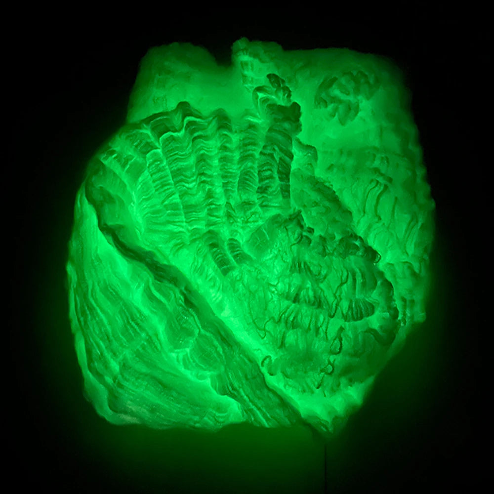 HexWeb™ — Glow-In-The-Dark Spider Web